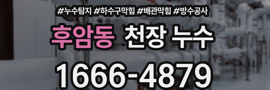 후암동 천장 누수