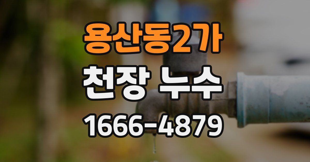 용산동2가 천장 누수