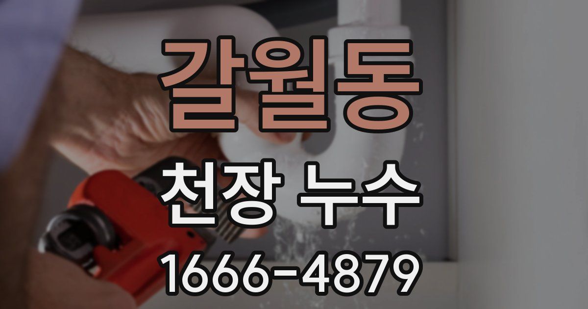갈월동 천장 누수