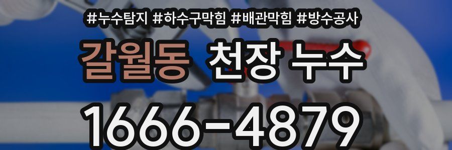 갈월동 천장 누수