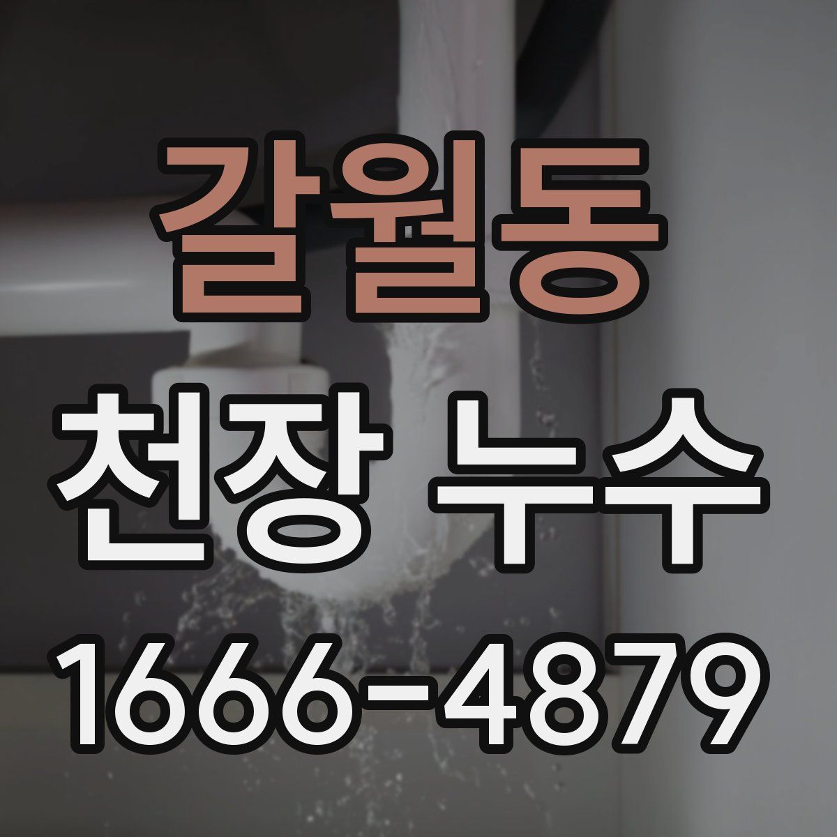 갈월동 천장 누수