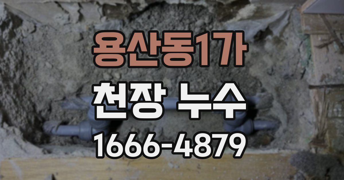용산동1가 천장 누수