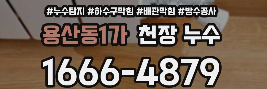 용산동1가 천장 누수