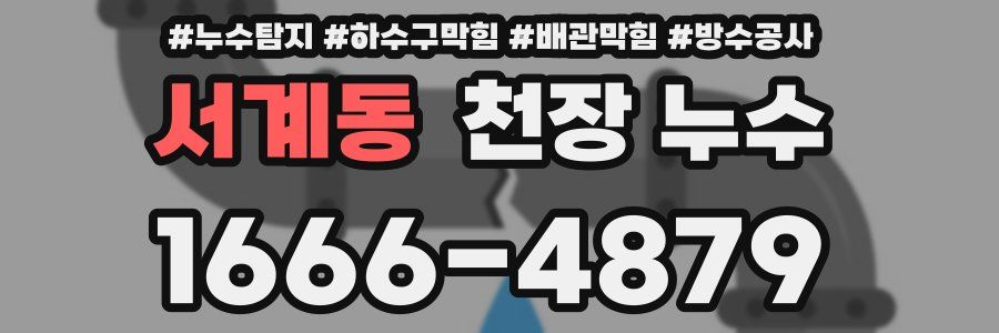 서계동 천장 누수