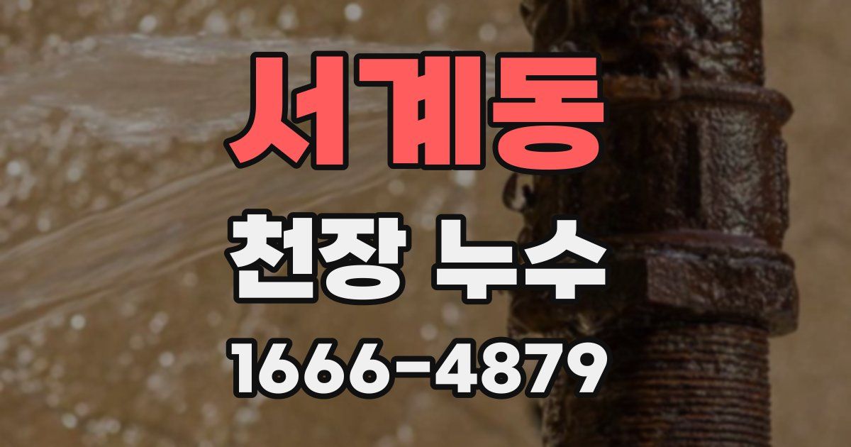 서계동 천장 누수