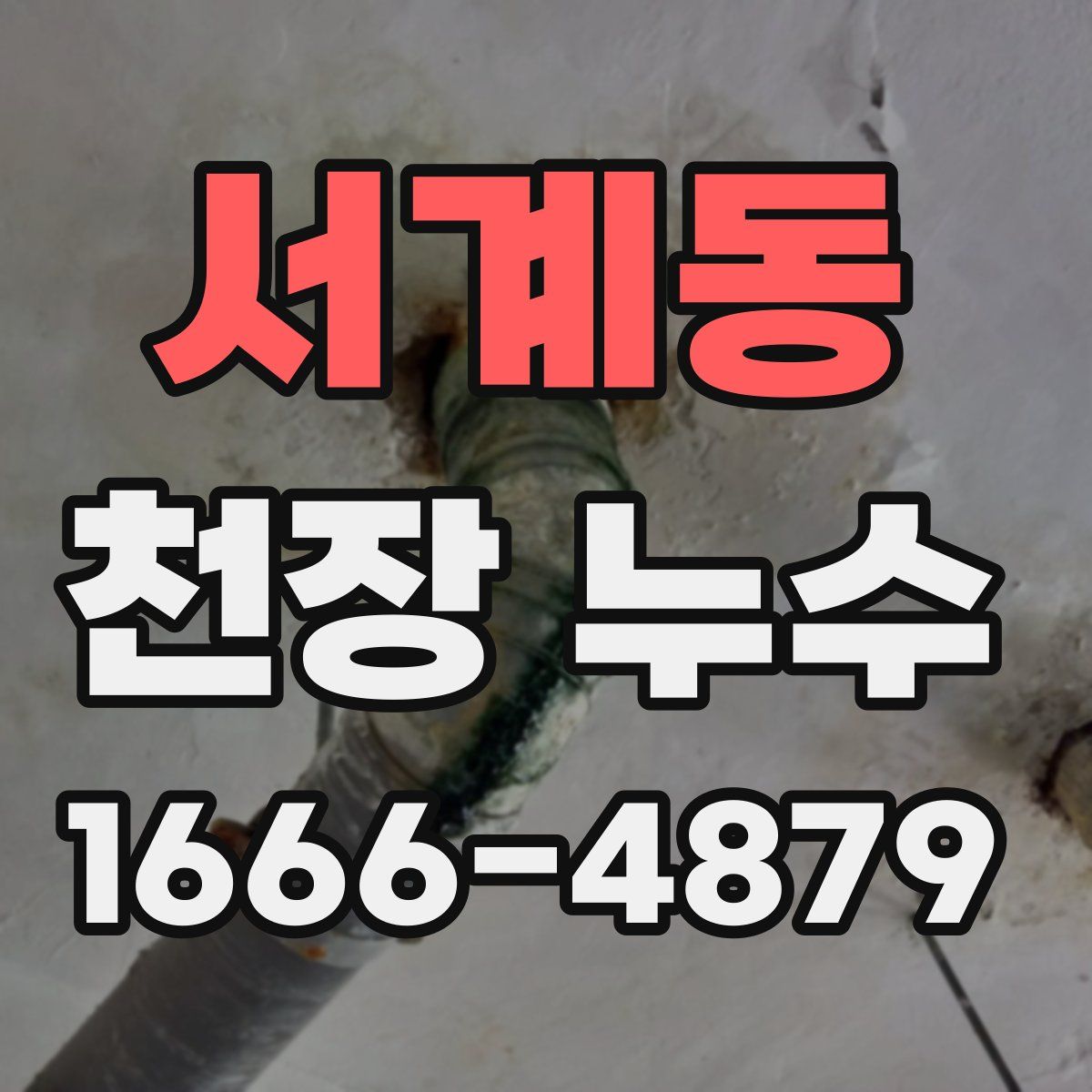 서계동 천장 누수