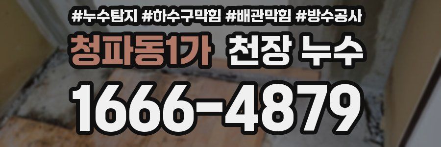 청파동1가 천장 누수
