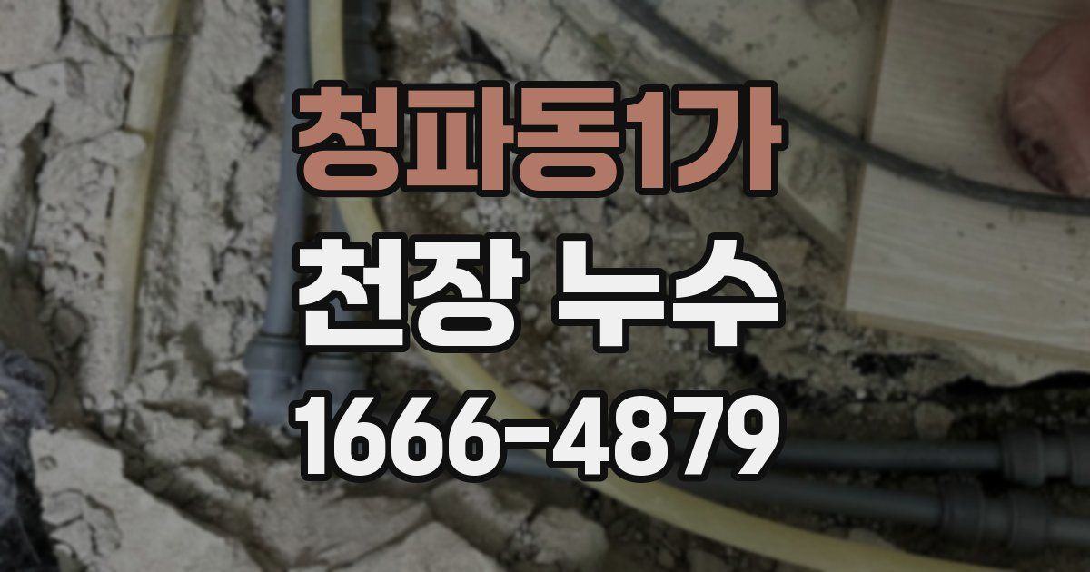 청파동1가 천장 누수