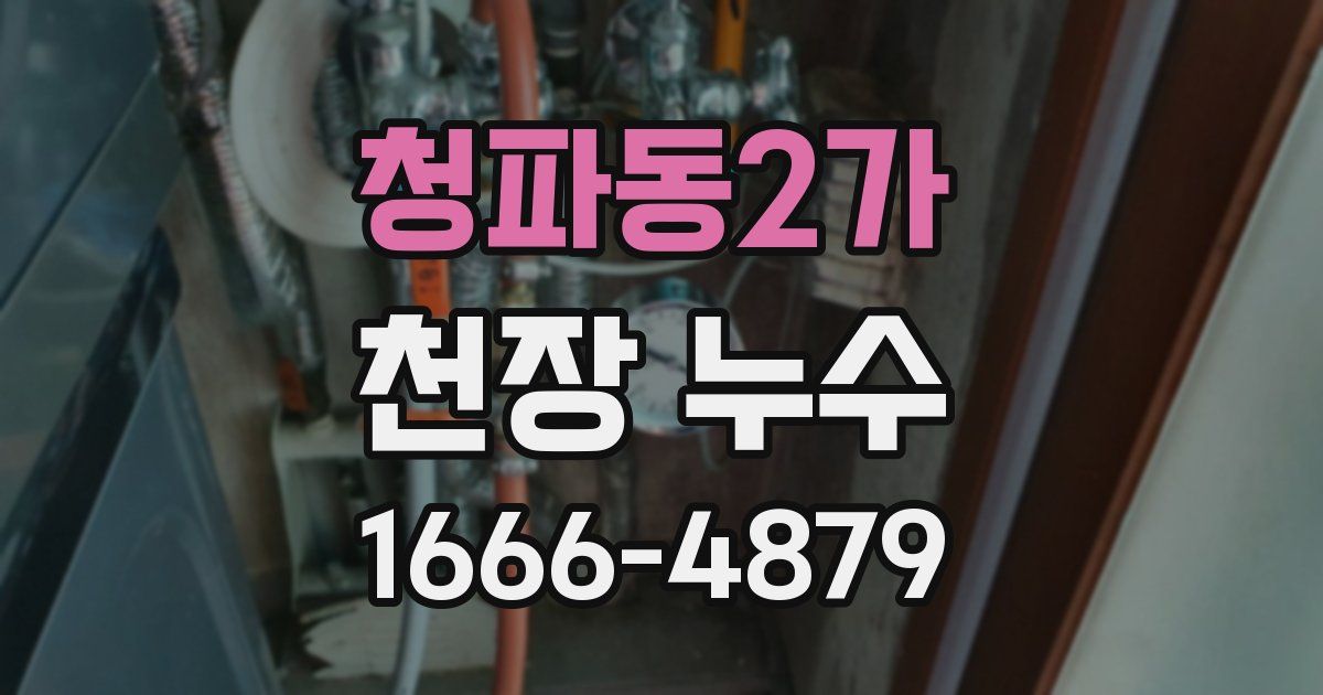 청파동2가 천장 누수