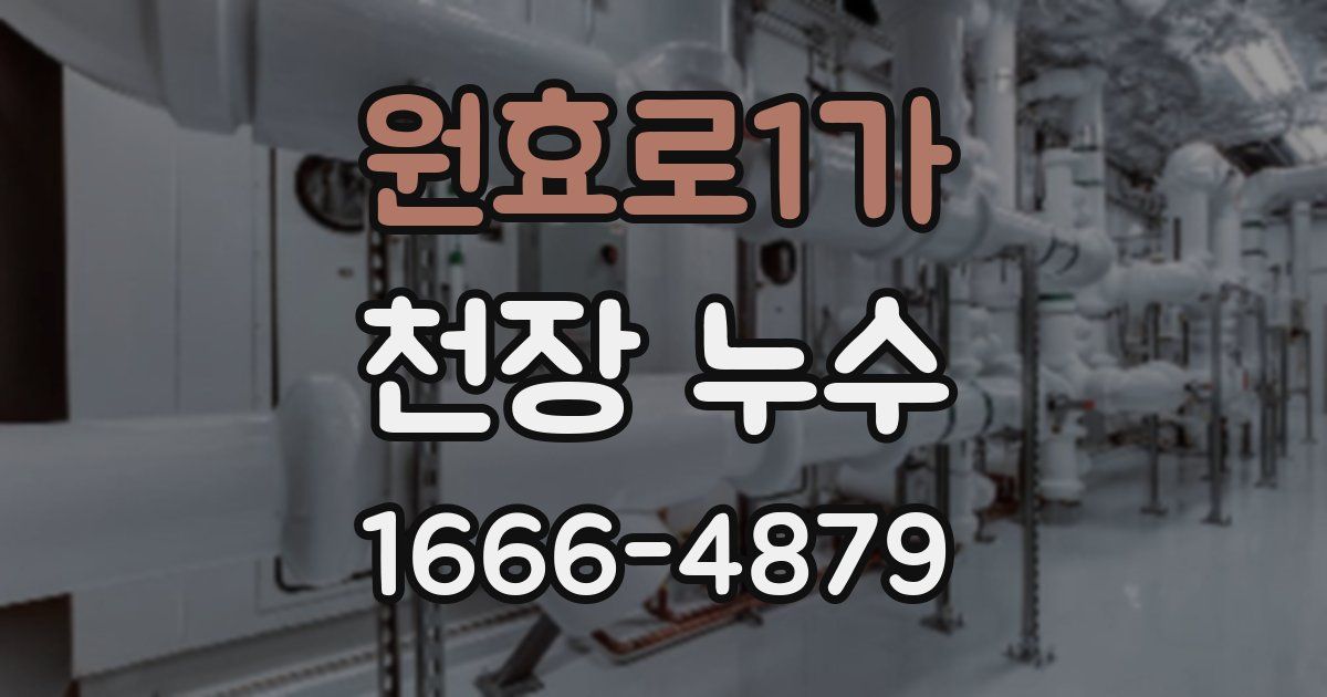 원효로1가 천장 누수