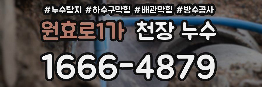 원효로1가 천장 누수