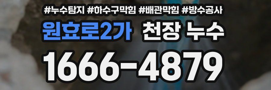 원효로2가 천장 누수