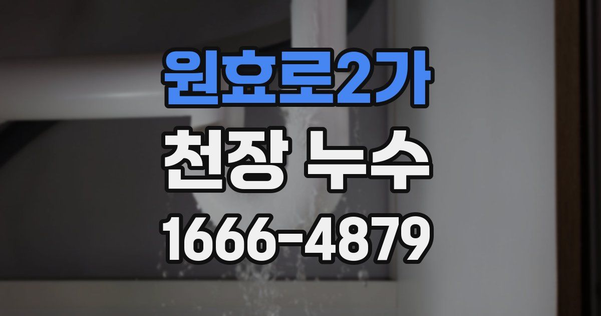 원효로2가 천장 누수
