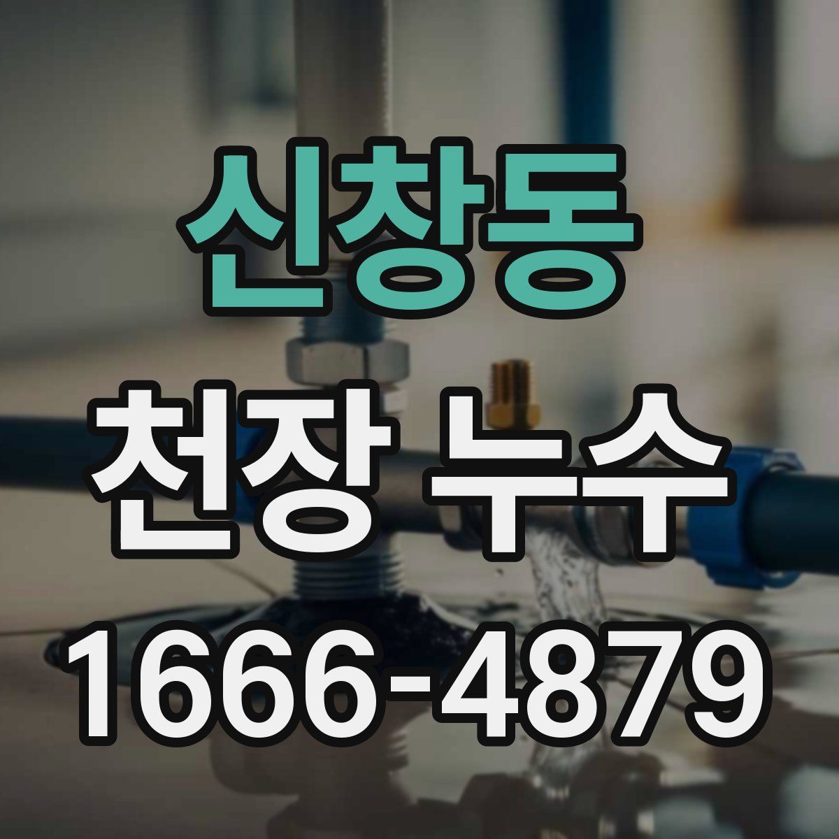 신창동 천장 누수