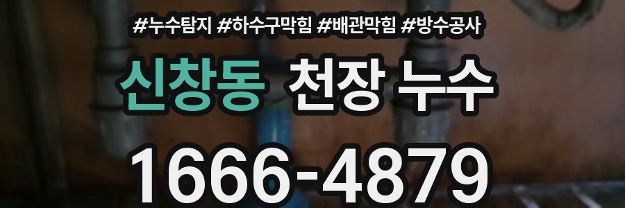 신창동 천장 누수