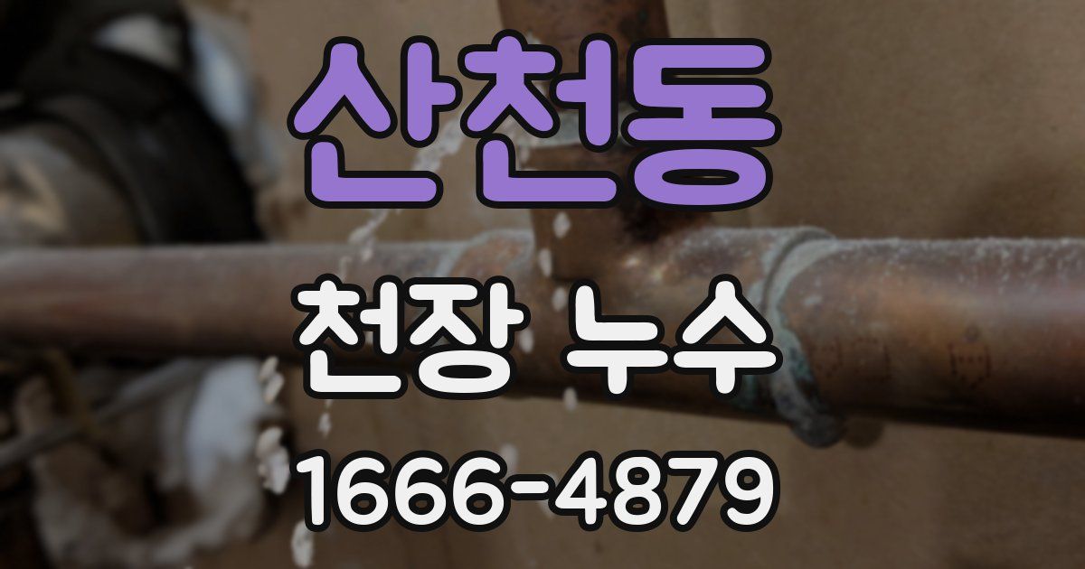 산천동 천장 누수