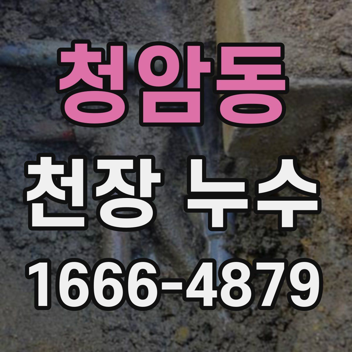 청암동 천장 누수