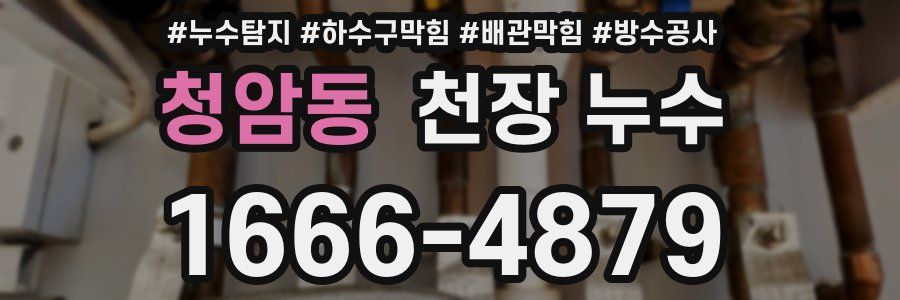 청암동 천장 누수