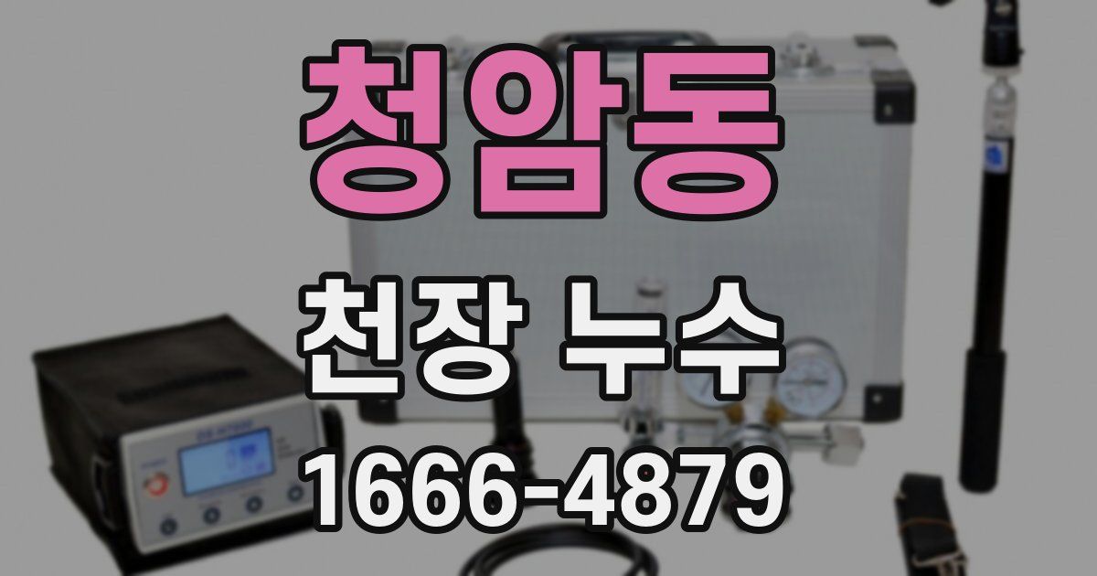 청암동 천장 누수