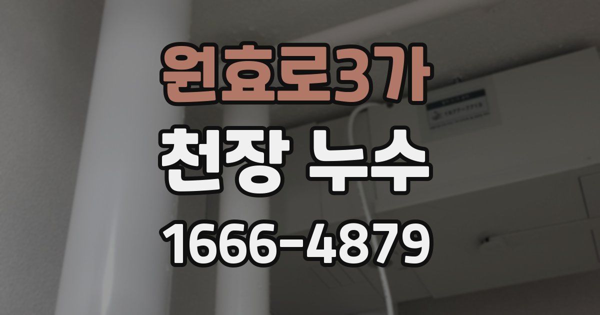 원효로3가 천장 누수