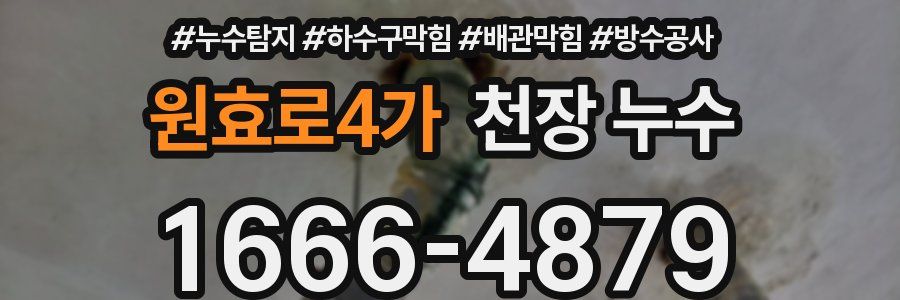 원효로4가 천장 누수