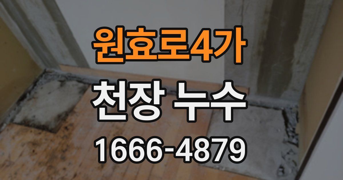 원효로4가 천장 누수