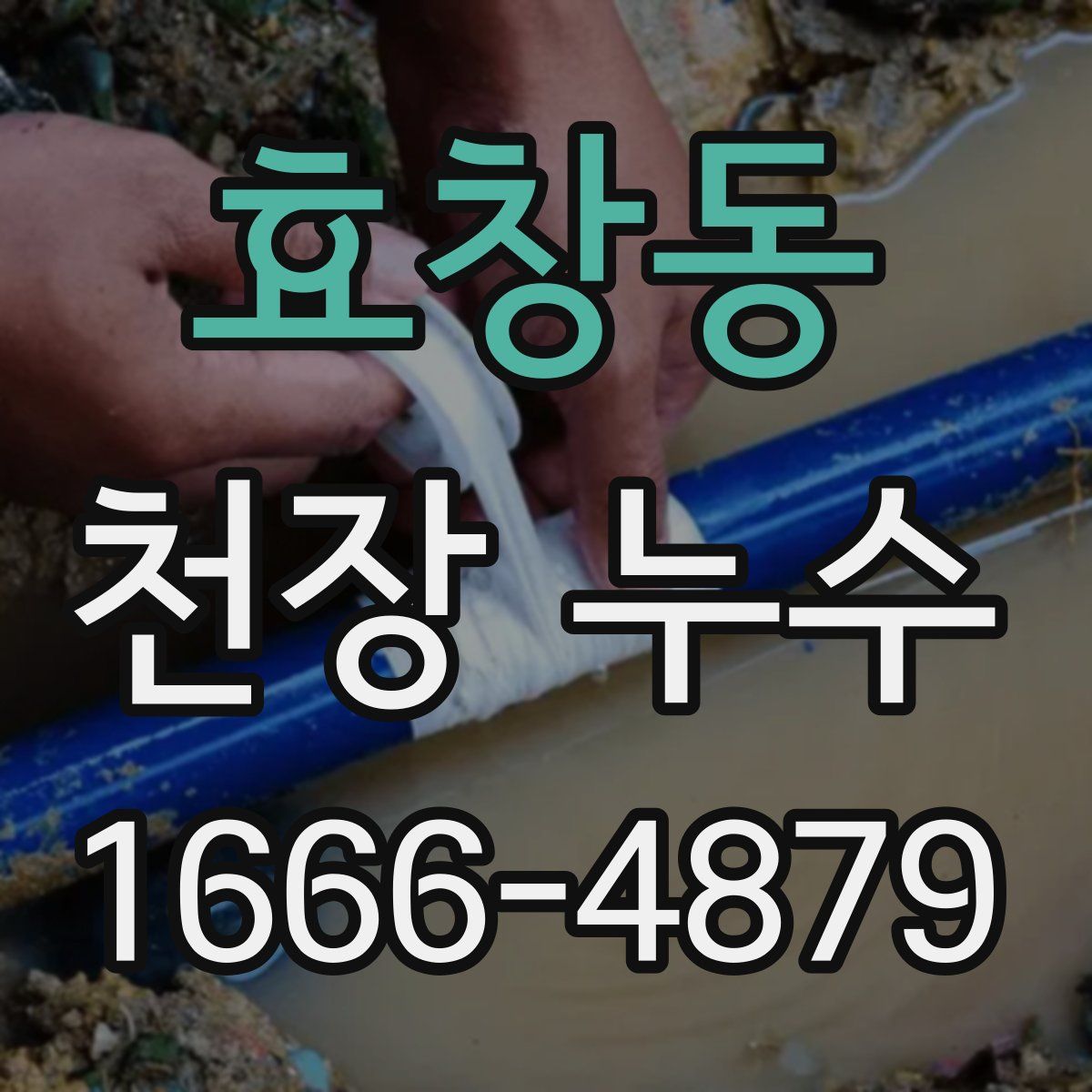 효창동 천장 누수