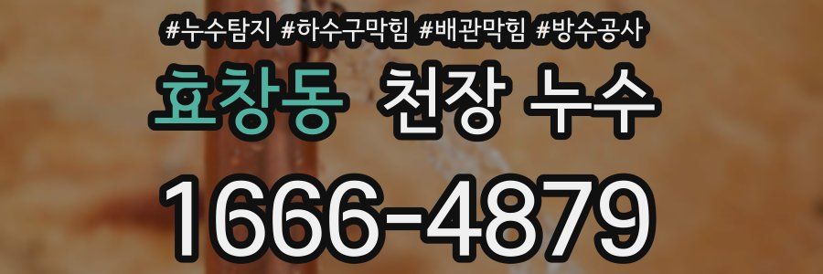 효창동 천장 누수