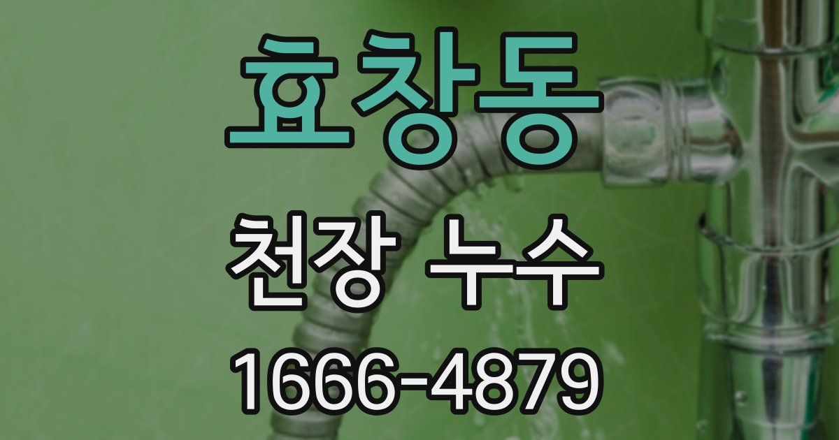 효창동 천장 누수