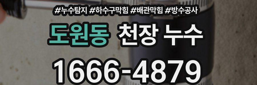 도원동 천장 누수
