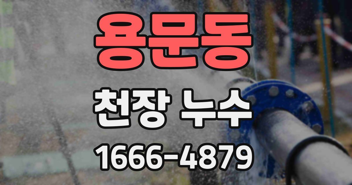 용문동 천장 누수
