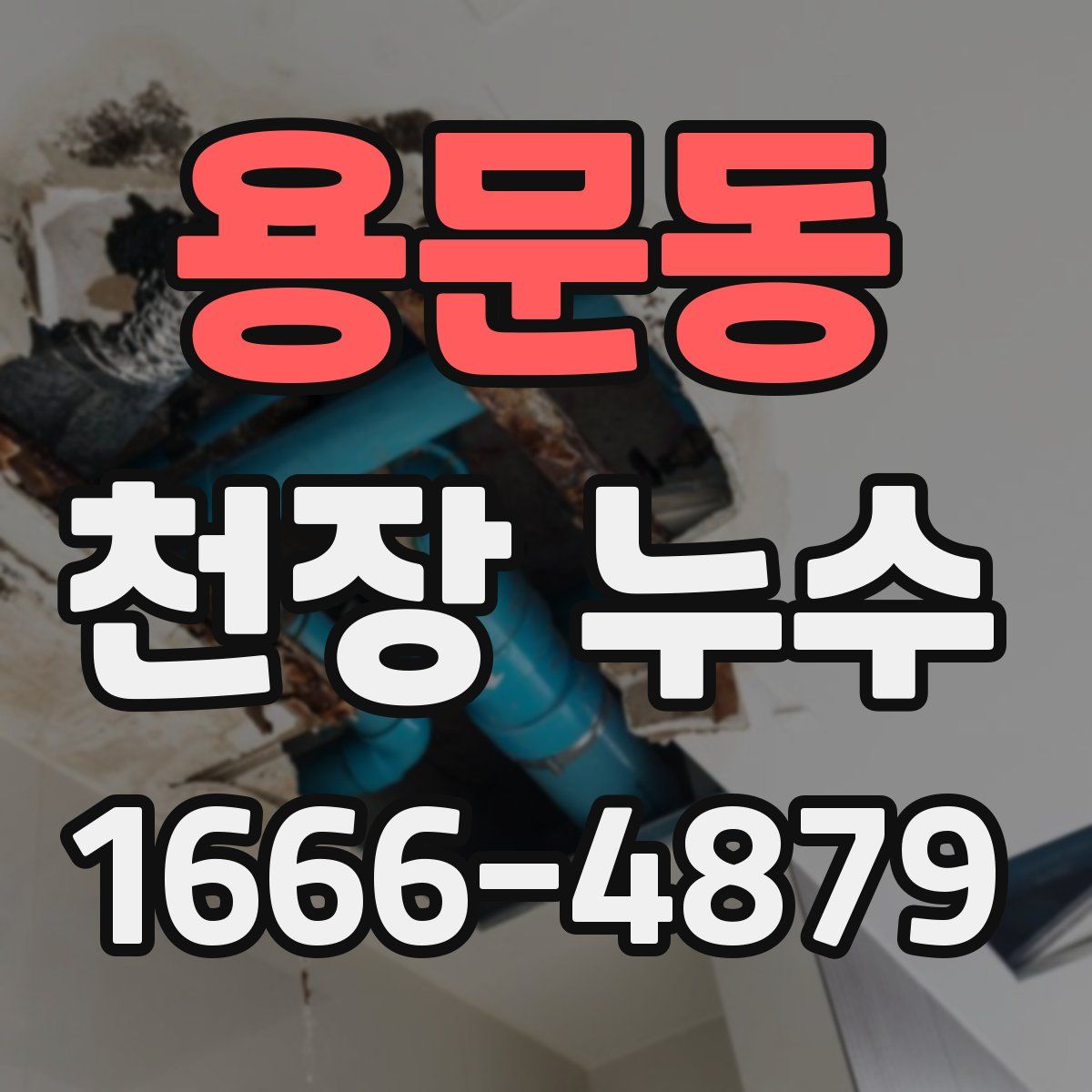 용문동 천장 누수