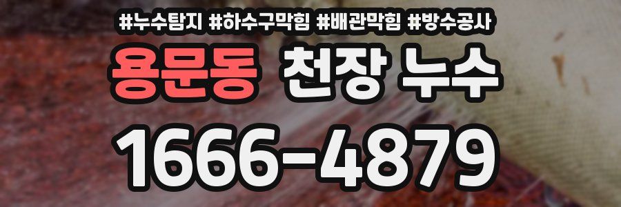 용문동 천장 누수