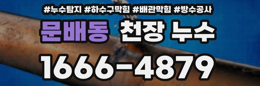문배동 천장 누수
