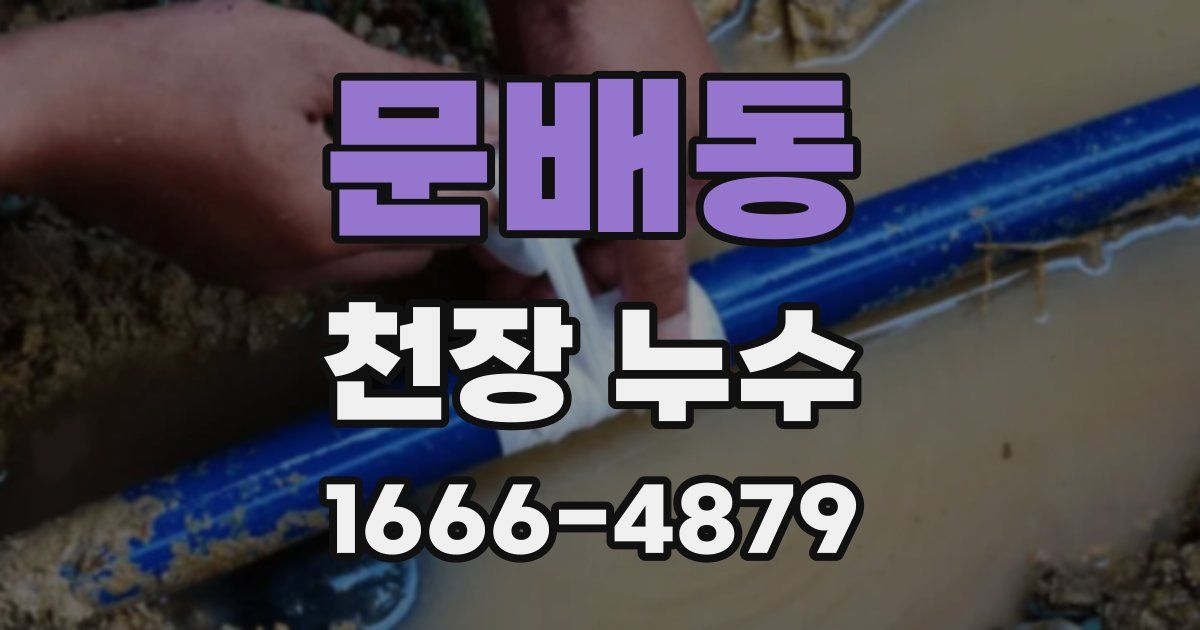 문배동 천장 누수