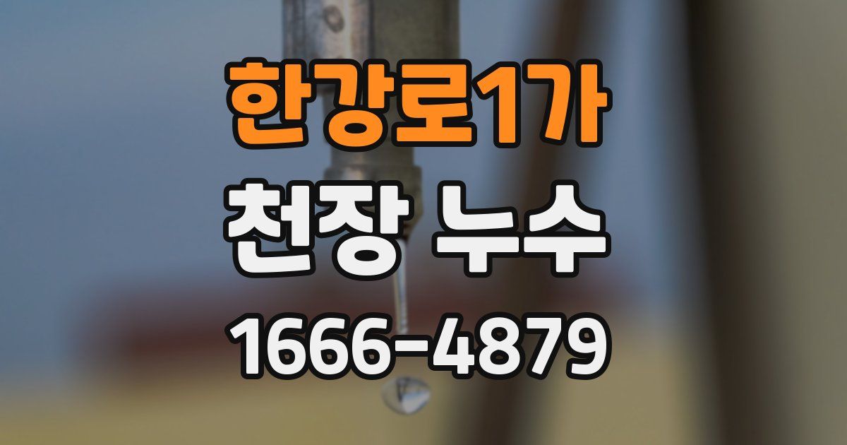 한강로1가 천장 누수