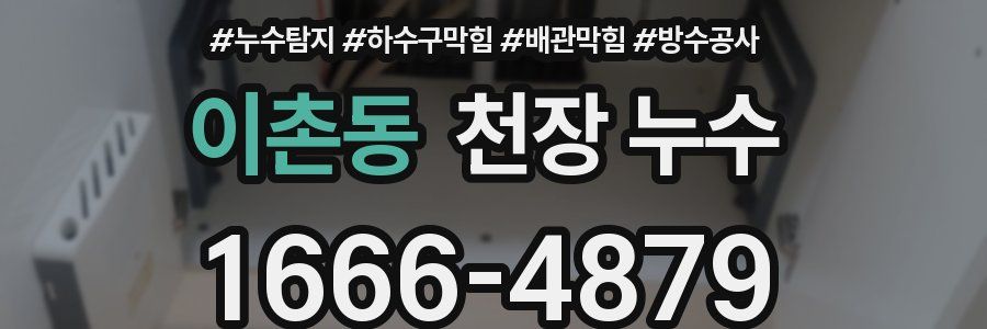 이촌동 천장 누수