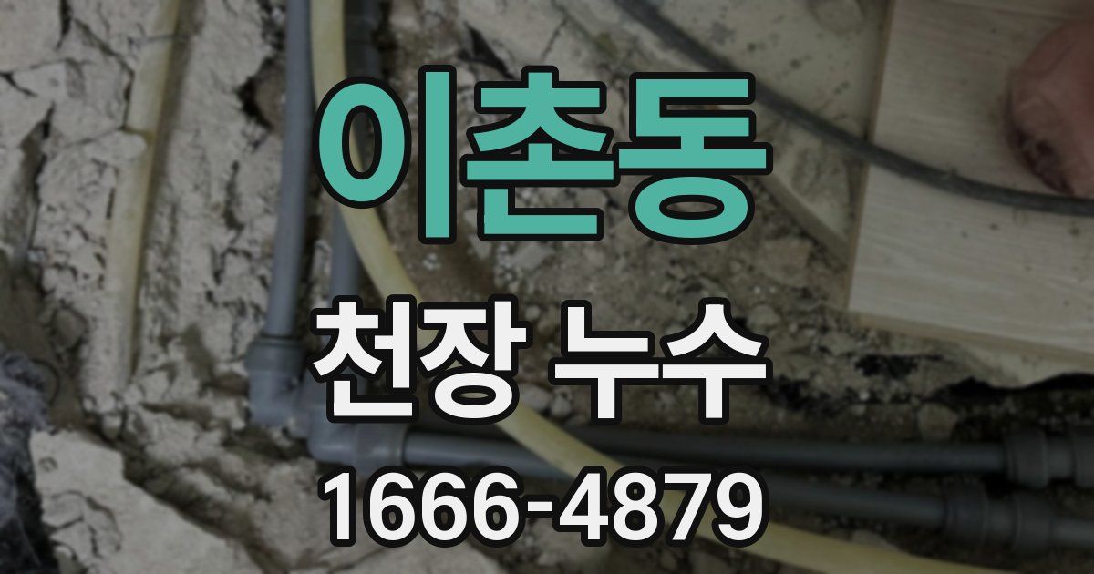 이촌동 천장 누수