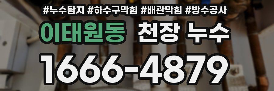 이태원동 천장 누수