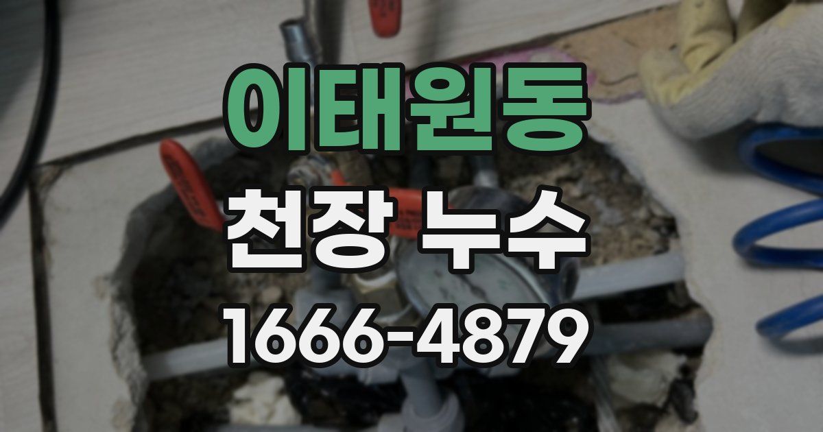 이태원동 천장 누수
