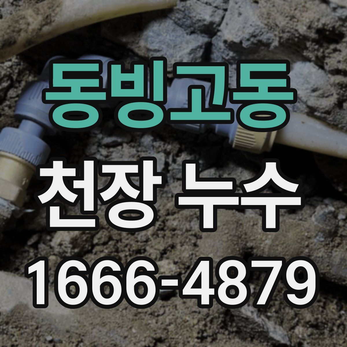 동빙고동 천장 누수