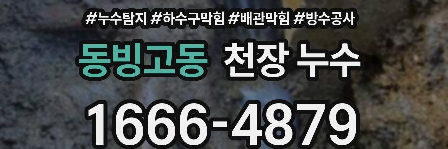 동빙고동 천장 누수
