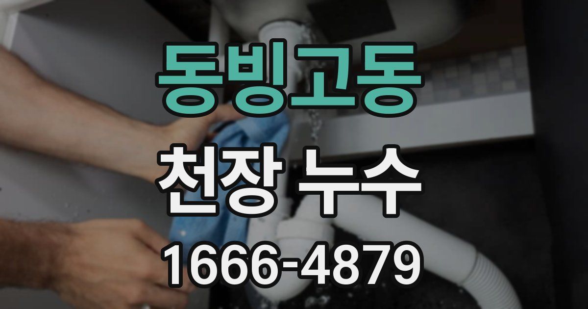 동빙고동 천장 누수
