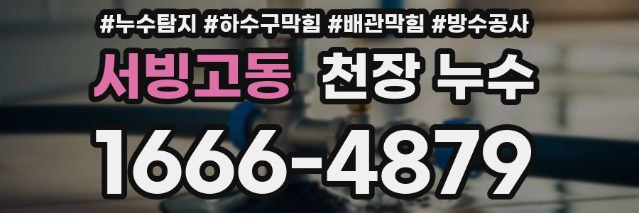서빙고동 천장 누수