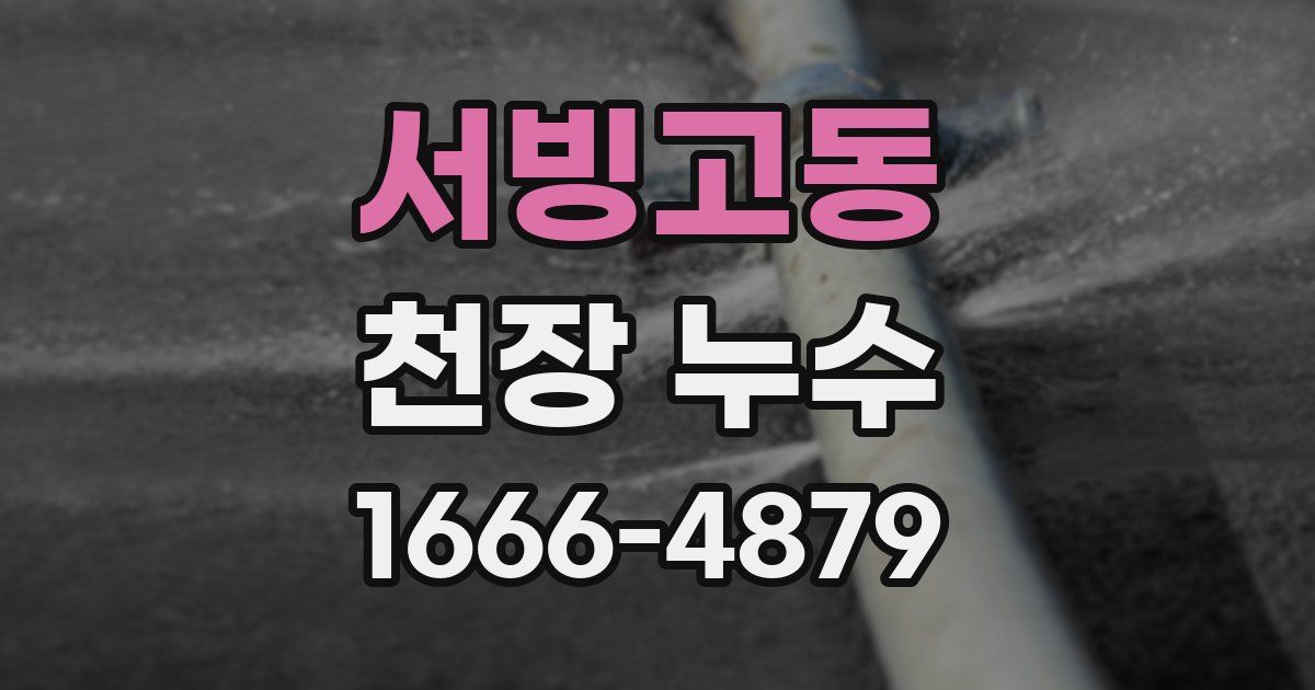 서빙고동 천장 누수