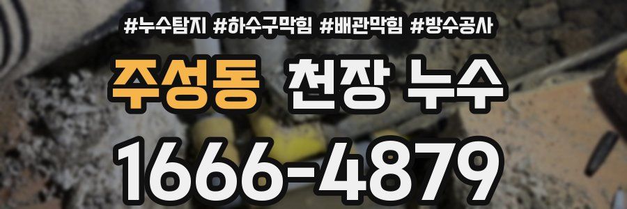 주성동 천장 누수