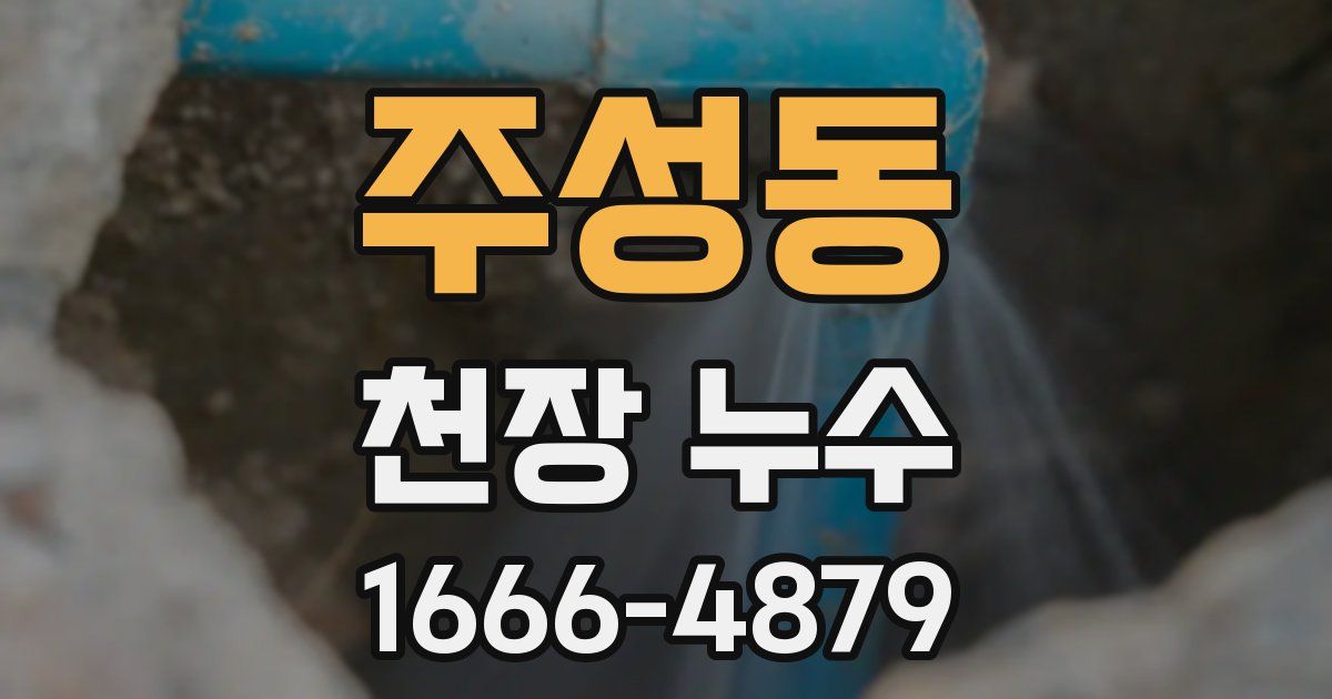 주성동 천장 누수