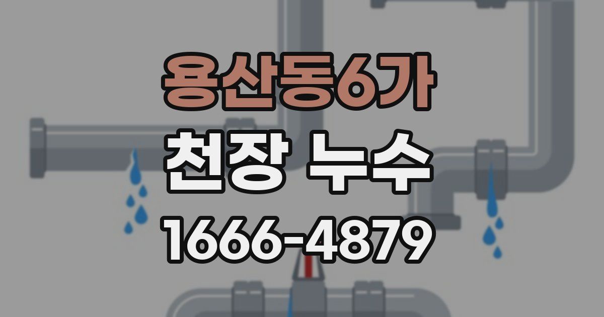 용산동6가 천장 누수