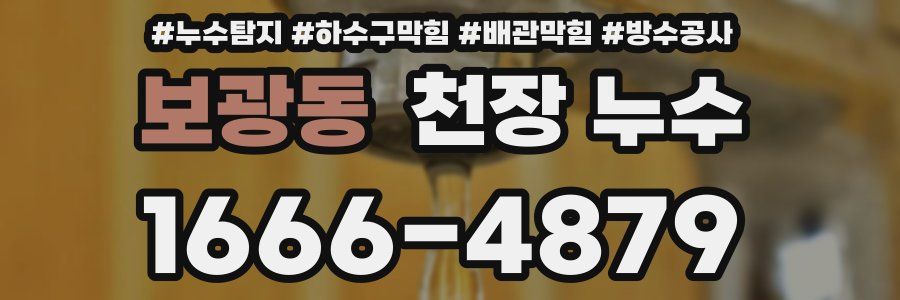 보광동 천장 누수