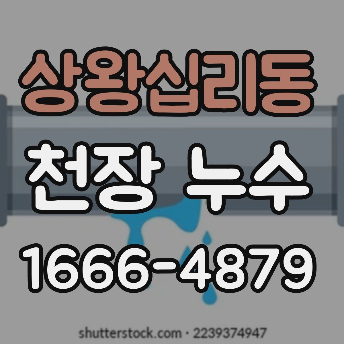 상왕십리동 천장 누수